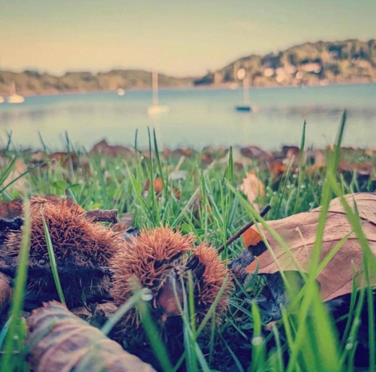 Studio Au Bord Du Lac D'Eguzon ภายนอก รูปภาพ